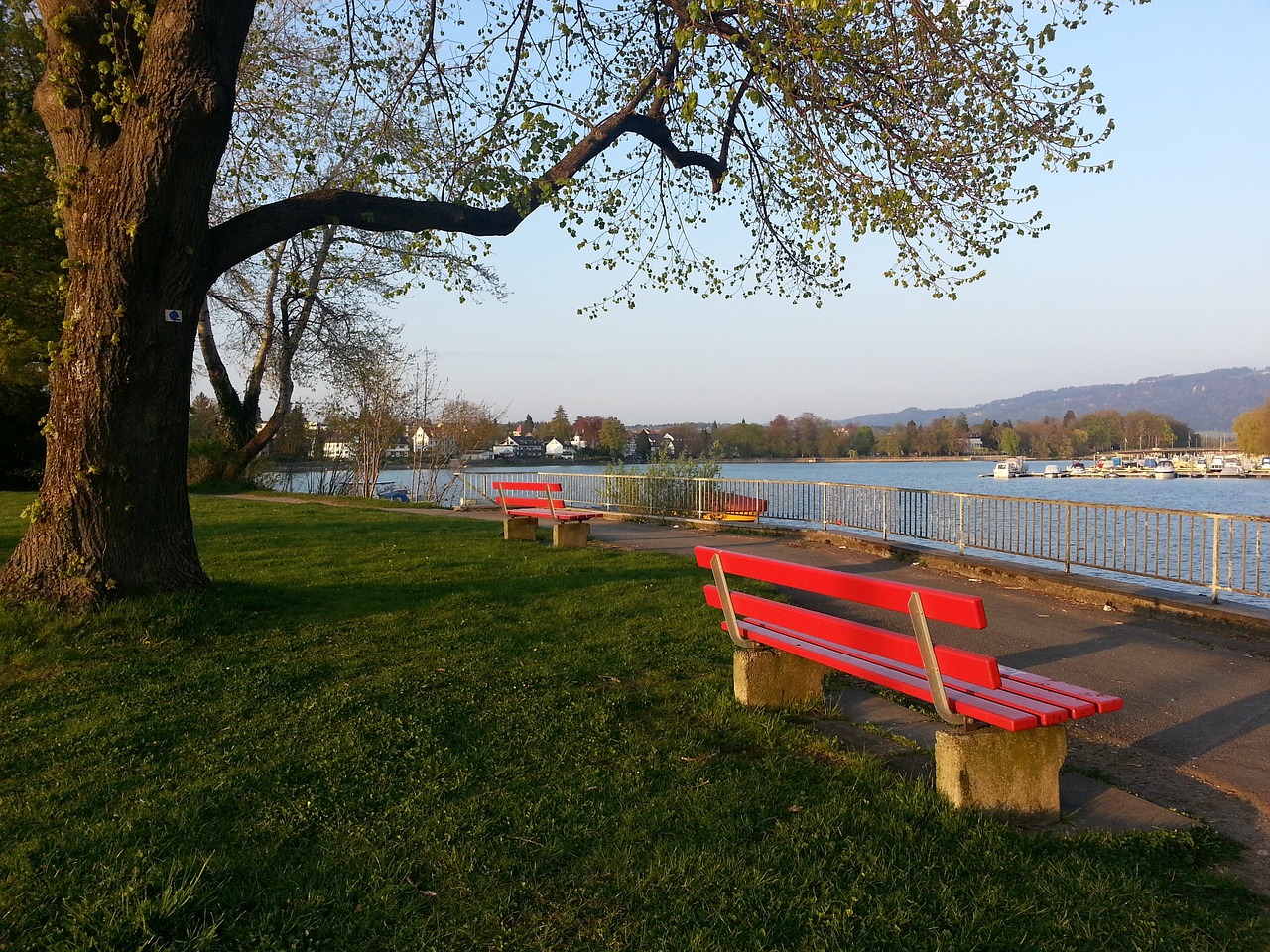 也彰显了他 也彰显了他