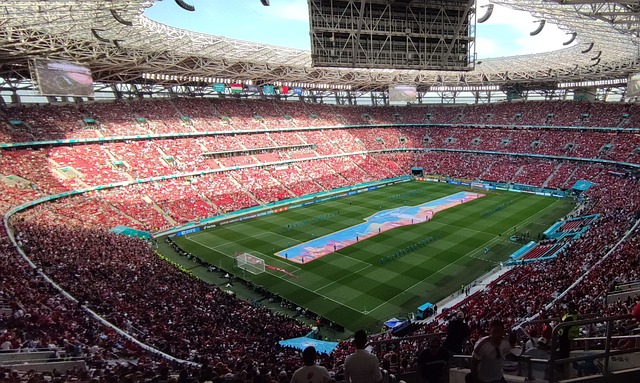 的重要作用 的重要作用