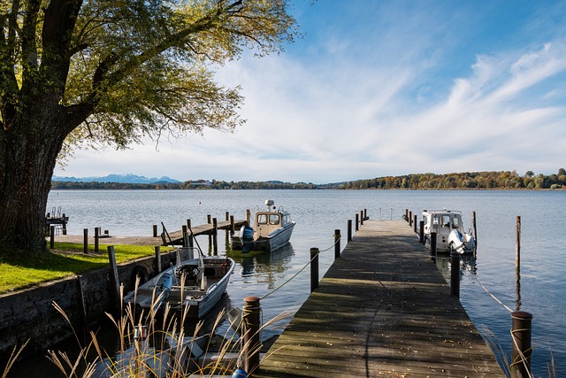 正如奥运冠 正如奥运冠