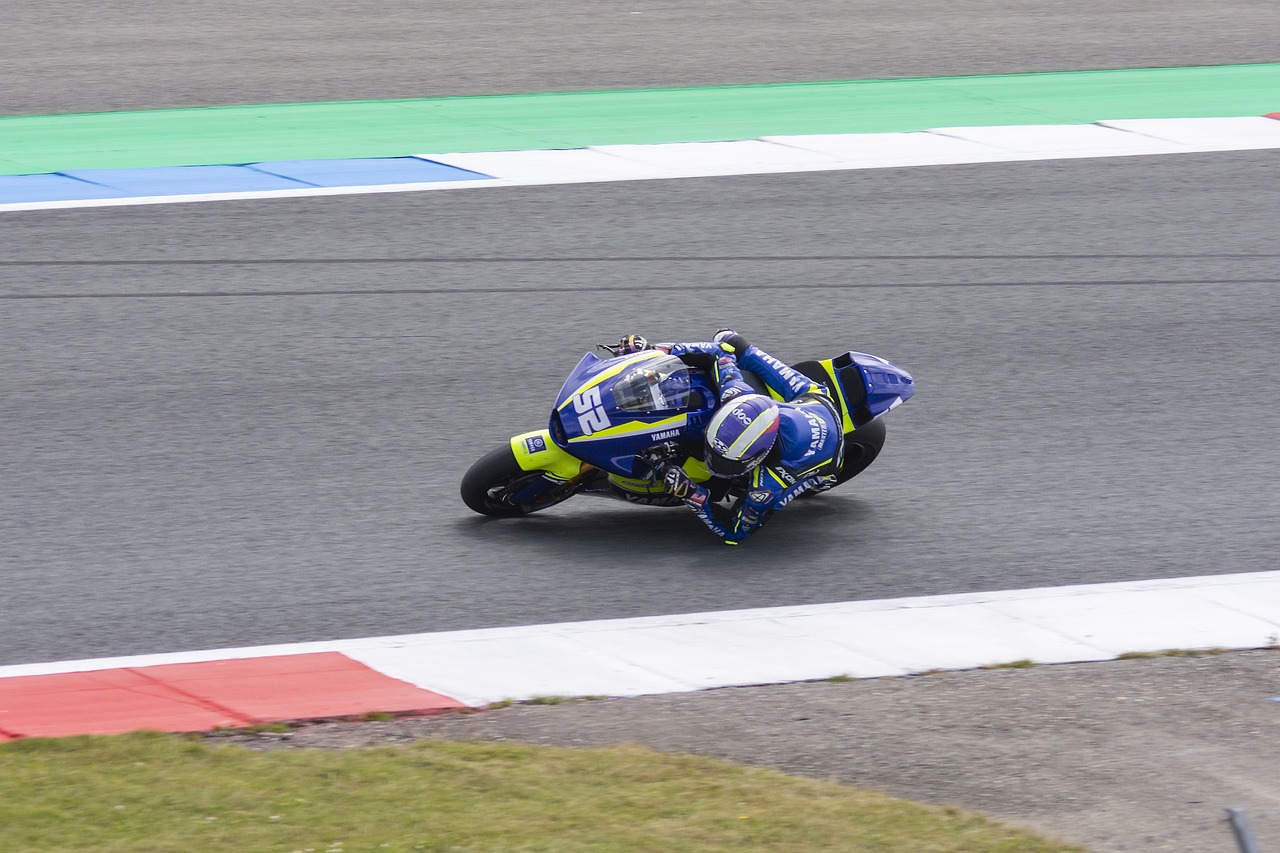 树立了榜样 树立了榜样