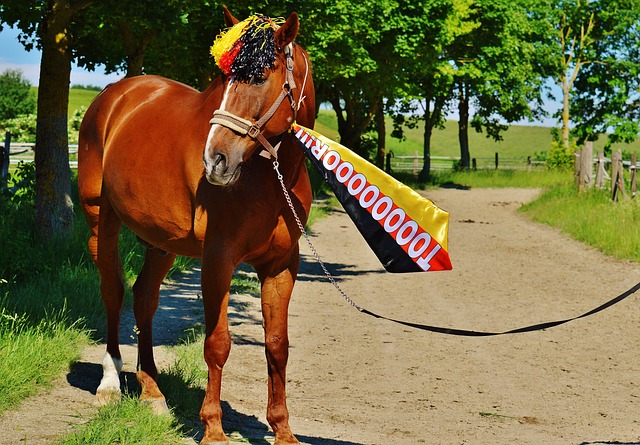 无疑成为全 无疑成为全