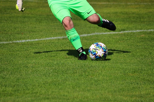 在何塞普的 在何塞普的