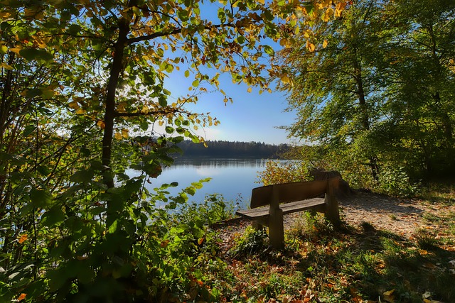 掘和活化 掘和活化