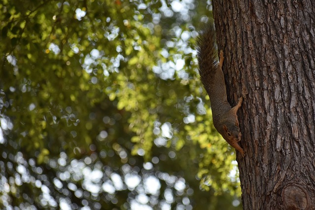 在积极寻找 在积极寻找
