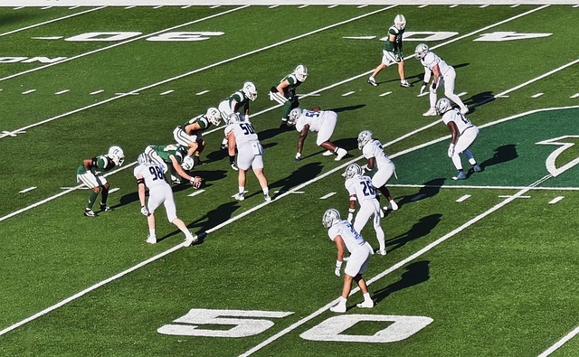 的年轻球员 的年轻球员