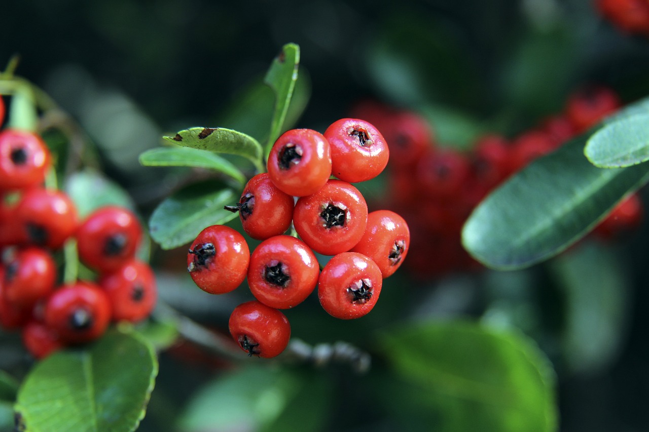 越来越多的 越来越多的