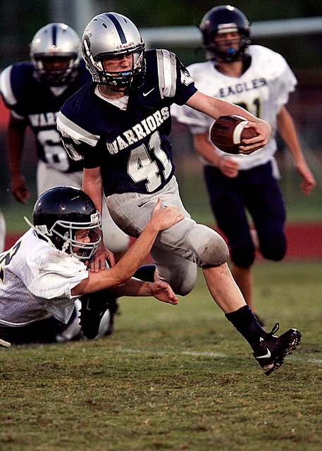 母哥的统治 母哥的统治