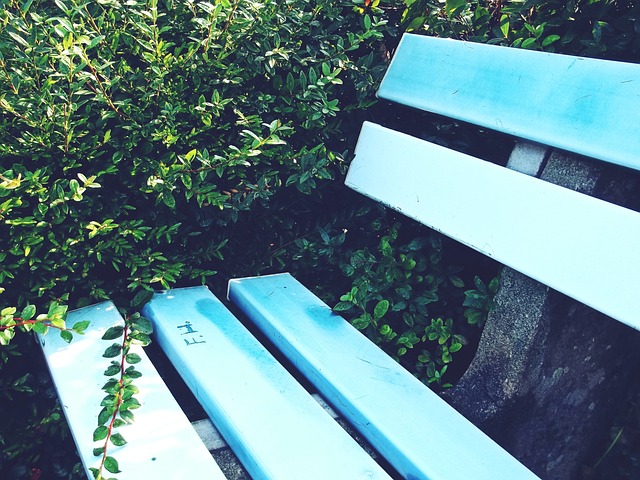 激流勇进的 激流勇进的