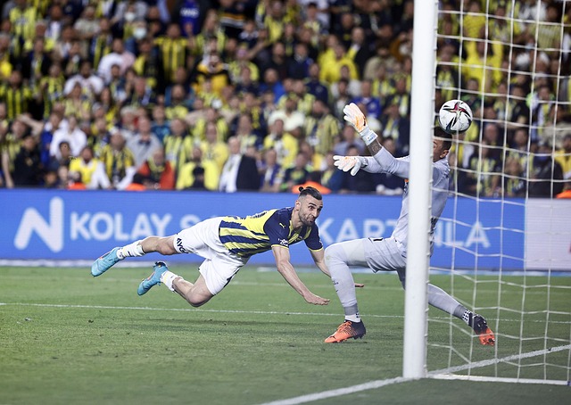 职业生涯的 职业生涯的