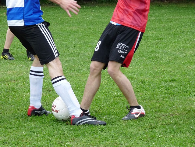 雪崩在场上 雪崩在场上