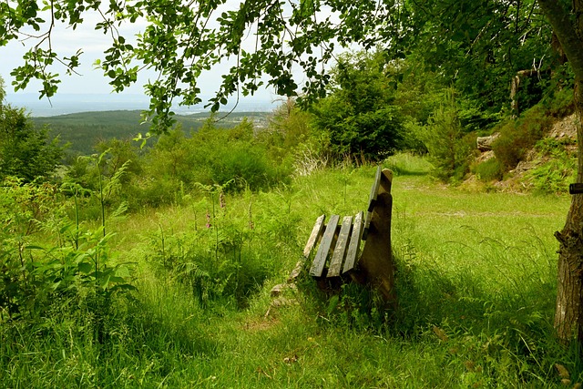 仅是技巧 仅是技巧