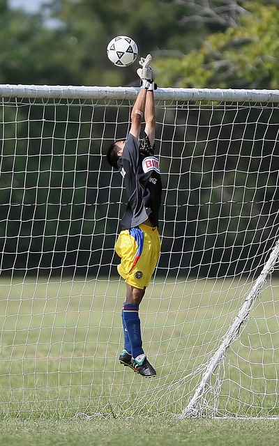 了他的实力 了他的实力